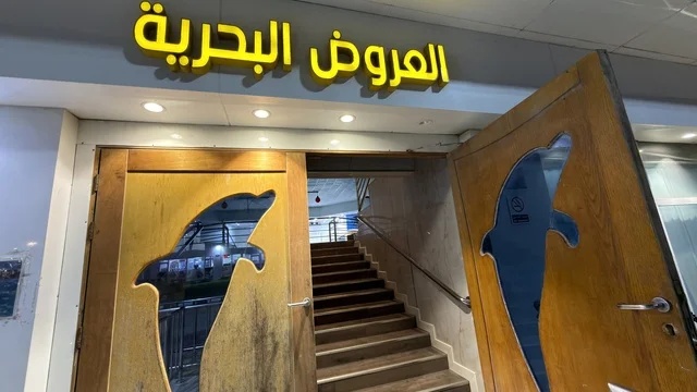 مدخل العروض البحرية في قرية الدولفين بالدمام