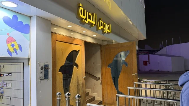 مدخل العروض البحرية في قرية الدولفين الدمام ليلاً