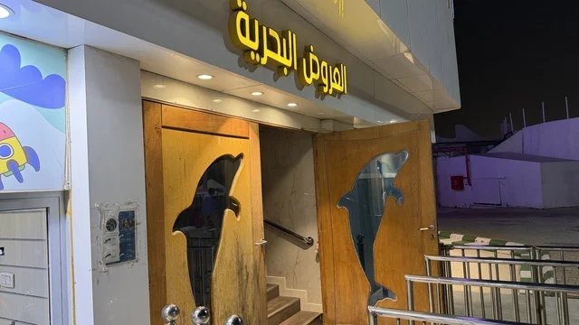 Dolphin Village Dammam Marine Show Entrance Night