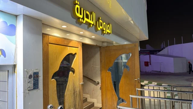 مدخل العروض البحرية في قرية الدولفين بالدمام ليلاً