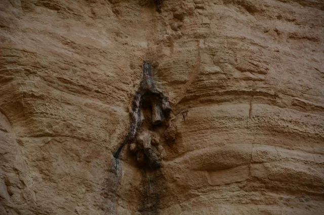 Close Up of Desert Rock Formation and Geological Textures
