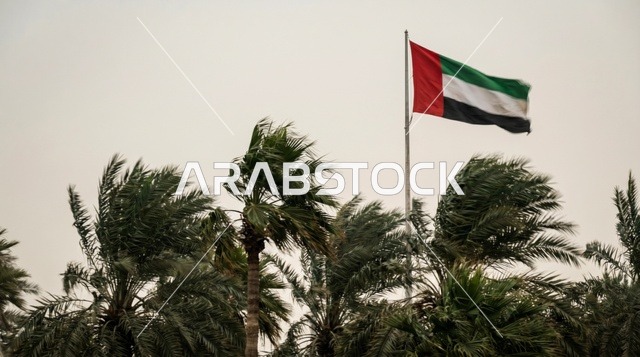 UAE Flag Waving Over Palm Trees in Stormy Weather