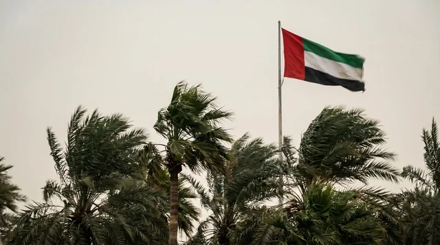 UAE Flag Waving Over Palm Trees in Stormy Weather