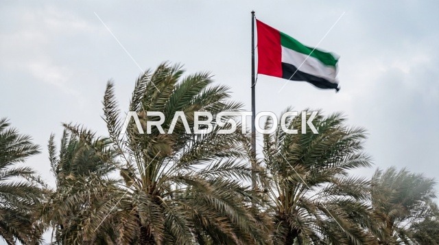UAE Flag over Palm Trees in Windy Weather