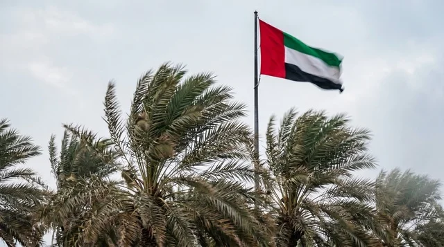 علم الإمارات فوق أشجار النخيل في جو عاصف