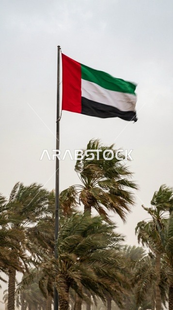 UAE Flag Waving Over Palm Trees in Strong Wind