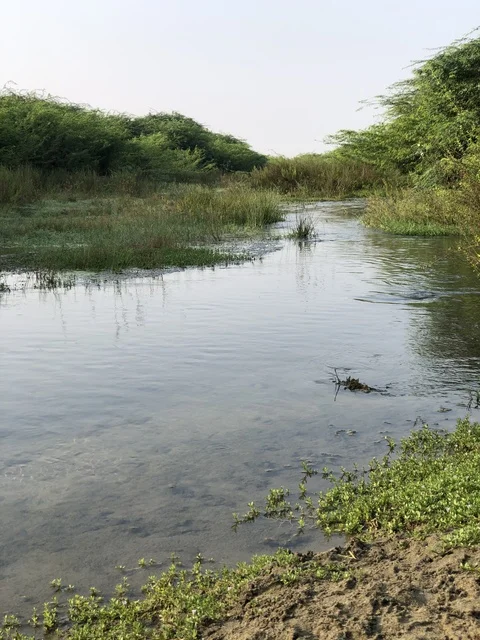 وادي غنيمة الباحة السعودية مناظر طبيعية