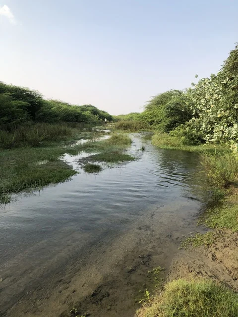 وادي غنيمة الباحة منظر طبيعي مائي السعودية