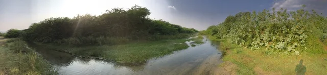 Wadi Ghanima in Al-Baha with trees and green plants.