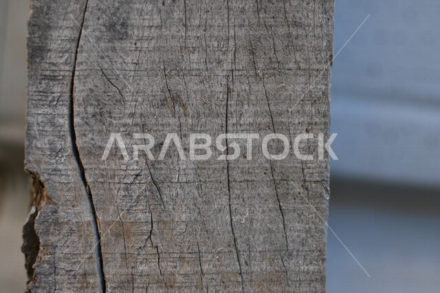 صورة مقربة لجذع الشجرة، قطع الاشجار، صناعة الأخشاب