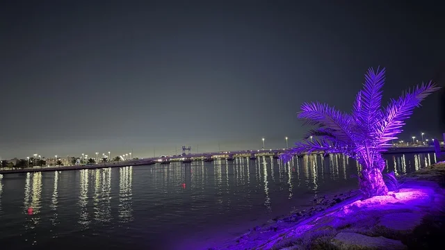 Qatif Waterfront Saudi Arabia Night Purple Palm Tree