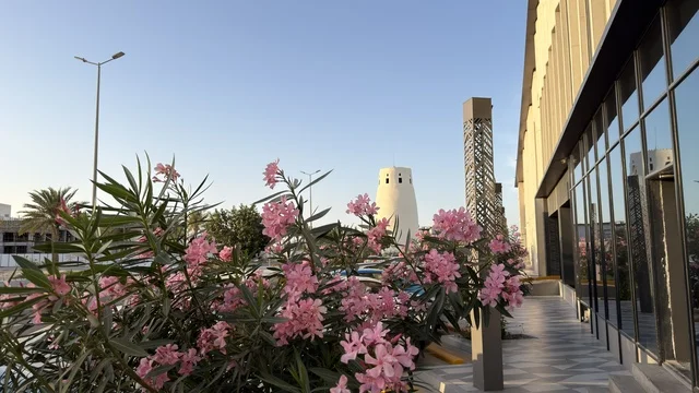 Sea Front Al Qatif with Flowers and Watchtower