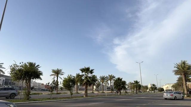 Al-Qatif Seafront Coastal Road with Palm Trees Al-Qatif Seafront Coastal Road with Palm Trees