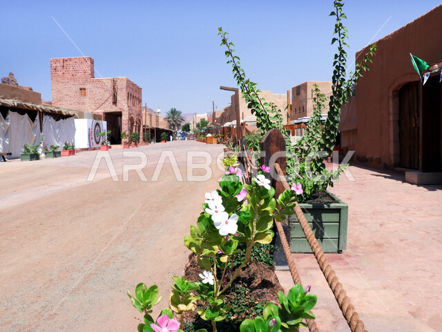The historical beauty of the heritage village of Al-Ula in the city of ...