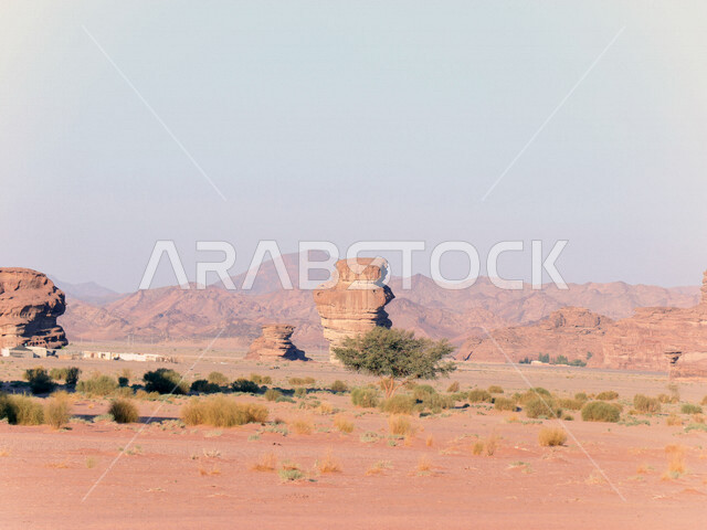 صورة للتكوينات الصخرية في منطقة بجدة نيوم  شمال غرب المملكة العربية السعودية ، مناظر طبيعية خلابة للرمال الذهبية ، جبال ذات تشكيلات صخرية جذابة في تبوك ، معالم حضارية سياحية في المملكة العربية السعودية .