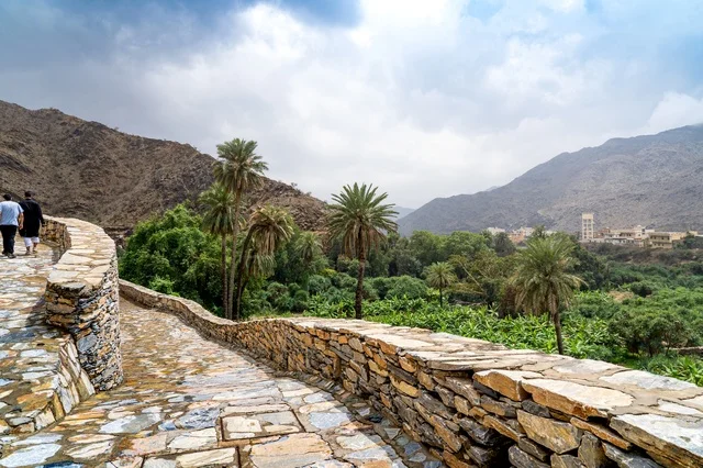 طريق حجري في وادي جبلي أخضر بالسعودية