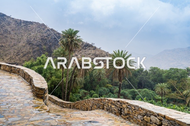 ممر جبلي حجري يطل على وادي أخضر
