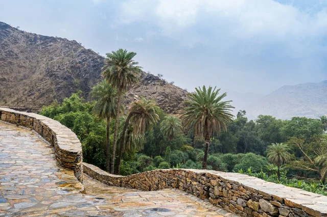 Mountain Stone Path Overlooking Lush Green Valley