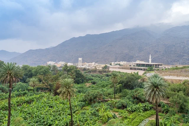 Lush Green Valley Village and Hazy Mountain Landscape