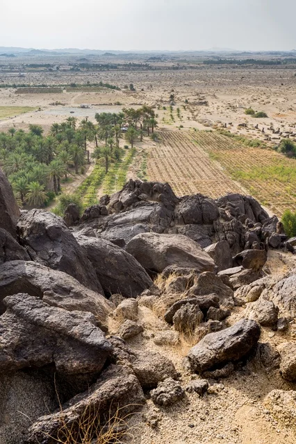 واحة خضراء ومزارع نخيل من قمة جبل صخري