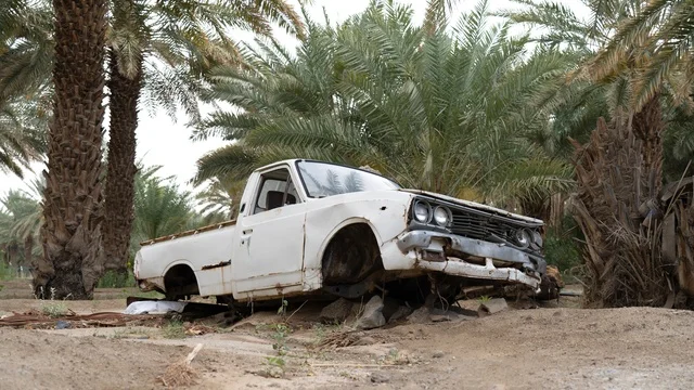 سيارة بيك آب بيضاء مهجورة في مزرعة نخيل ريفية