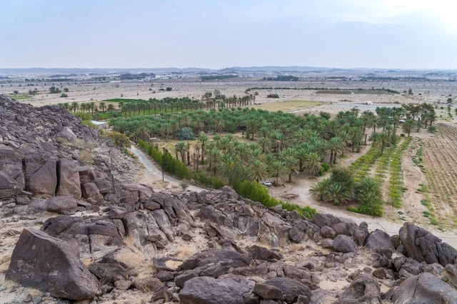 Date Palm Oasis Near Rocky Desert Mountain Landscape