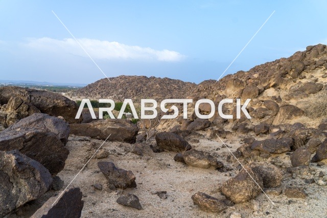 مشهد الجبال الصخرية والوادي الأخضر في الصحراء