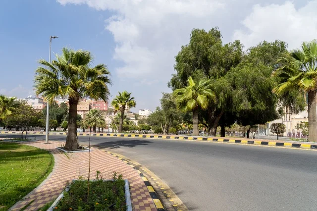 طريق أسفلتي في حديقة عامة مع أشجار النخيل