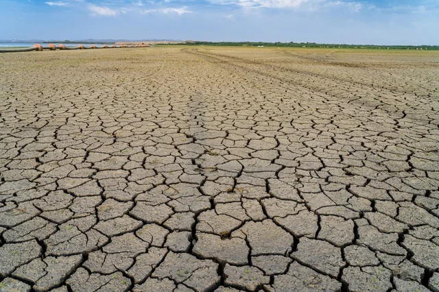 Dry Cracked Earth Landscape and Drought Conditions