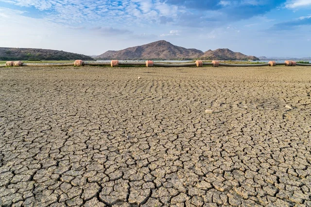 Cracked Earth Drought Landscape View under Daylight