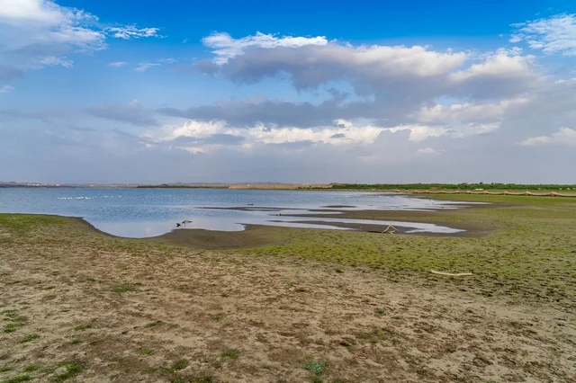 Natural Lake Shoreline Landscape under Cloudy Blue Sky