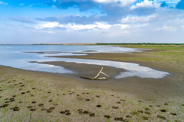 Receding Lake Shoreline with Mudflats and Tracks Receding Lake Shoreline with Mudflats and Tracks