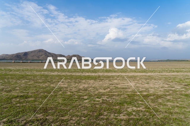 Wide Green Meadow with Distant Brown Mountains