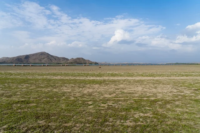 Wide Green Meadow with Distant Brown Mountains
