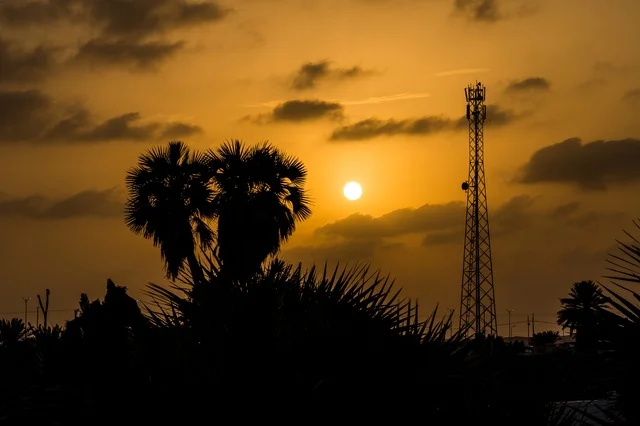 Silhouette of Palm Trees and Telecom Tower at Sunset