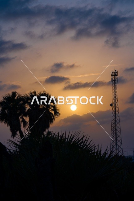 Sunset Over Palm Trees and Telecommunication Tower