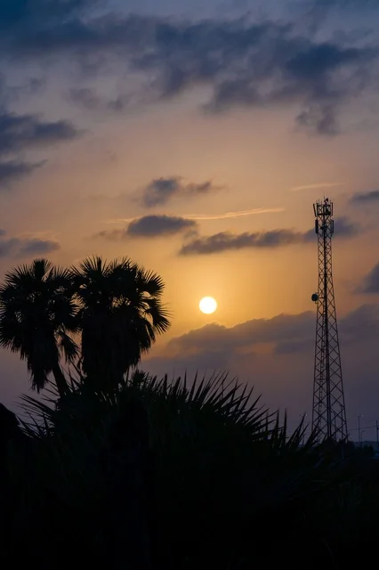 غروب الشمس خلف أشجار النخيل وبرج الاتصالات