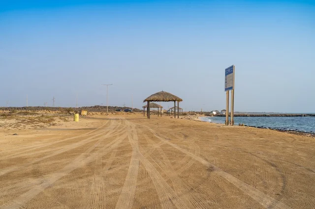 Sandy Coastline with Tire Tracks and Thatched Umbrellas