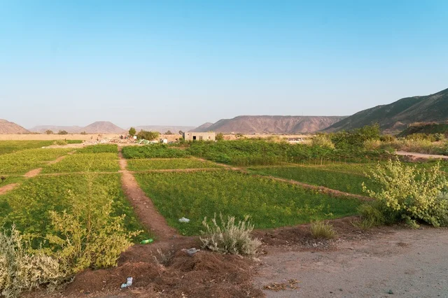 حقول زراعية خضراء في وادٍ جبلي طبيعي