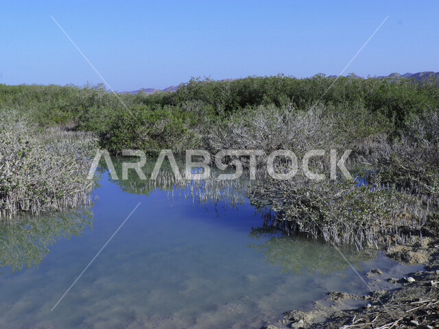 صورة جمالية لجزيرة زُبيدة التي تقع في البحر الأحمر في منطقة تبوك شمال غرب المملكة العربية السعودية ، أماكن سياحية في السعودية ، جزيرة زبيدة ، جزر منطقة تبوك ، الطبيعة في السعودية