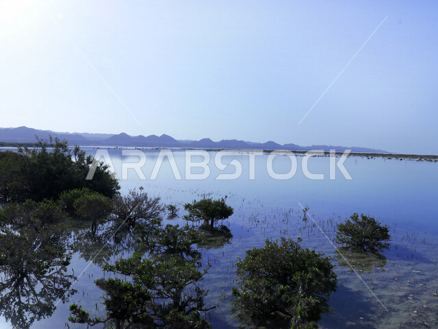 An aesthetic image of Zubaydah Island, which is located in the Red Sea in the Tabuk region, northwest of the Kingdom of Saudi Arabia, tourist places in Saudi Arabia, Zubaydah Island, the islands of the Tabuk region, nature in Saudi Arabia