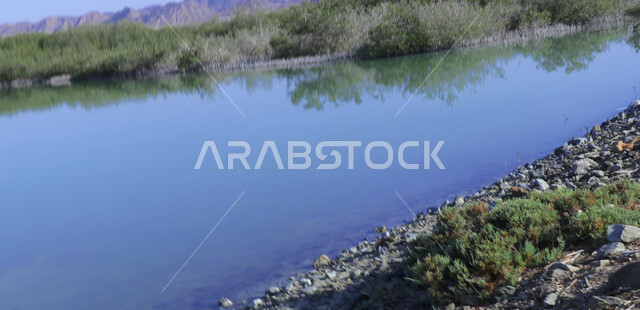 صورة جمالية لجزيرة زُبيدة التي تقع في البحر الأحمر في منطقة تبوك شمال غرب المملكة العربية السعودية ، أماكن سياحية في السعودية ، جزيرة زبيدة ، جزر منطقة تبوك ، الطبيعة في السعودية