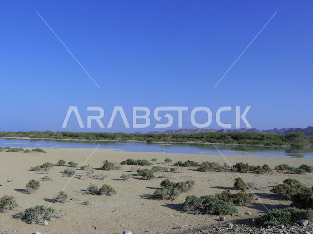 صورة جمالية لجزيرة زُبيدة التي تقع في البحر الأحمر في منطقة تبوك شمال غرب المملكة العربية السعودية ، أماكن سياحية في السعودية ، جزيرة زبيدة ، جزر منطقة تبوك ، الطبيعة في السعودية