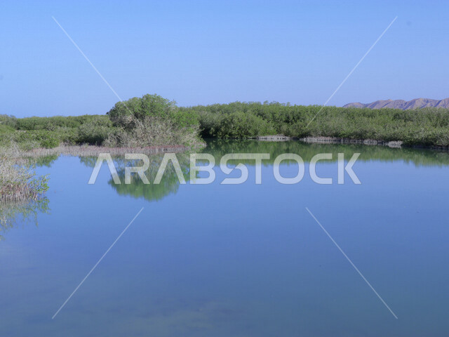 صورة جمالية لجزيرة زُبيدة التي تقع في البحر الأحمر في منطقة تبوك شمال غرب المملكة العربية السعودية ، أماكن سياحية في السعودية ، جزيرة زبيدة ، جزر منطقة تبوك ، الطبيعة في السعودية