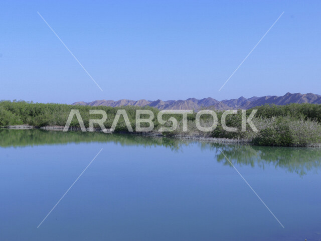 صورة جمالية لجزيرة زُبيدة التي تقع في البحر الأحمر في منطقة تبوك شمال غرب المملكة العربية السعودية ، أماكن سياحية في السعودية ، جزيرة زبيدة ، جزر منطقة تبوك ، الطبيعة في السعودية
