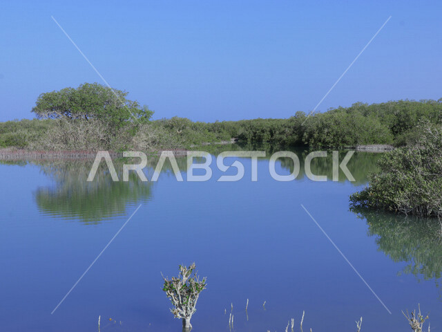 An aesthetic image of Zubaydah Island, which is located in the Red Sea in the Tabuk region, northwest of the Kingdom of Saudi Arabia, tourist places in Saudi Arabia, Zubaydah Island, the islands of the Tabuk region, nature in Saudi Arabia