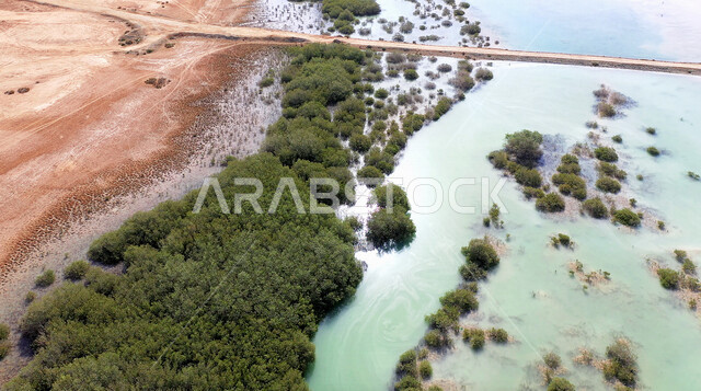 صورة جمالية لجزيرة زُبيدة التي تقع في البحر الأحمر في منطقة تبوك شمال غرب المملكة العربية السعودية ، معالم تاريخية سياحية في السعودية ، جزيرة زبيدة ، جزر منطقة تبوك ، جزر البحر الأحمر، السياحة في السعودية، وجهة سياحية فاخرة