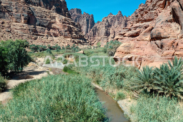 صورة جمالية لأخاديد الجبال الساحرة ، و التكوينات  الصخرية و الواحات بوادي الديسة في منطقة تبوك ، وادي الديسة ( الوادي الممتلئ بالنخيل ) الطبيعة الساحرة و جمالها الخلاب في المملكة العربية السعودية