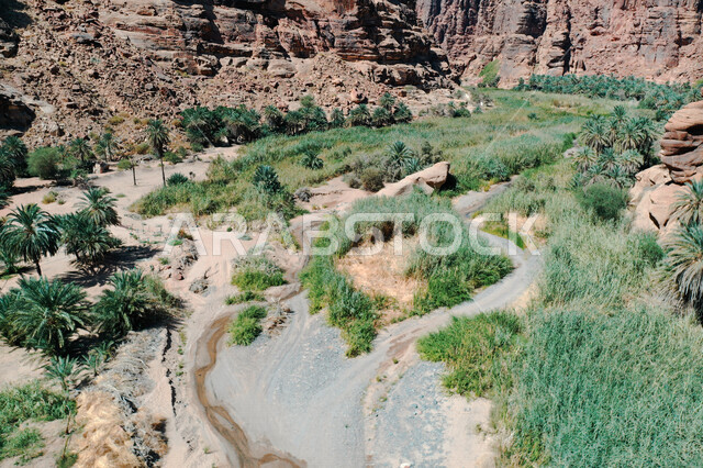 صورة جمالية لأخاديد الجبال الساحرة ، و التكوينات  الصخرية و الواحات بوادي الديسة في منطقة تبوك ، وادي الديسة ( الوادي الممتلئ بالنخيل ) الطبيعة الساحرة و جمالها الخلاب في المملكة العربية السعودية