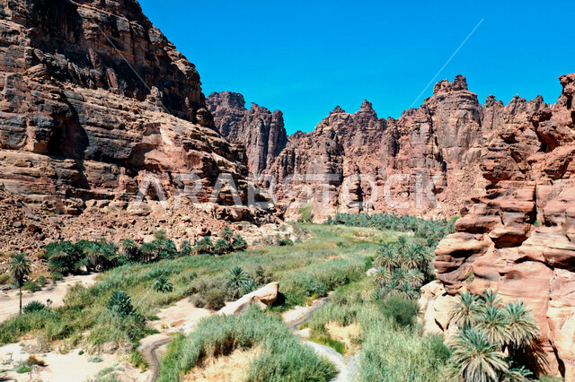 صورة جمالية لأخاديد الجبال الساحرة ، و التكوينات  الصخرية و الواحات بوادي الديسة في منطقة تبوك ، وادي الديسة ( الوادي الممتلئ بالنخيل ) الطبيعة الساحرة و جمالها الخلاب في المملكة العربية السعودية